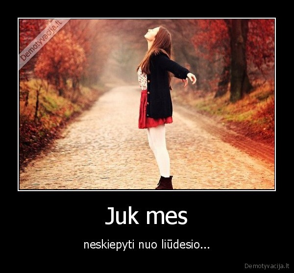 Juk mes