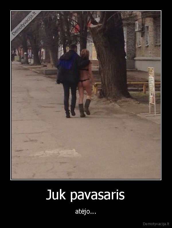 Juk pavasaris