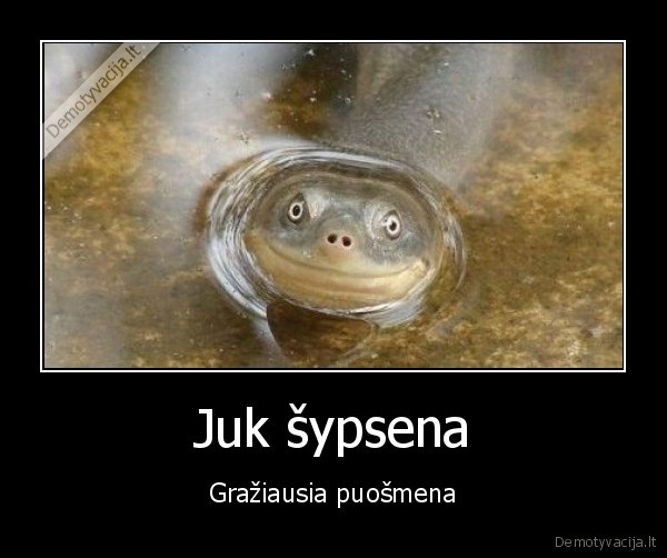 Juk šypsena