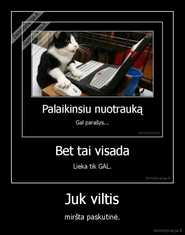 Juk viltis