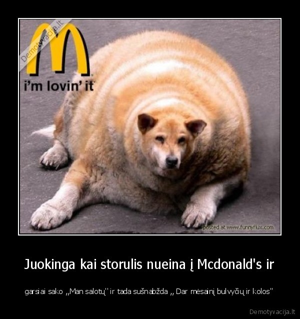 Juokinga kai storulis nueina į Mcdonald's ir