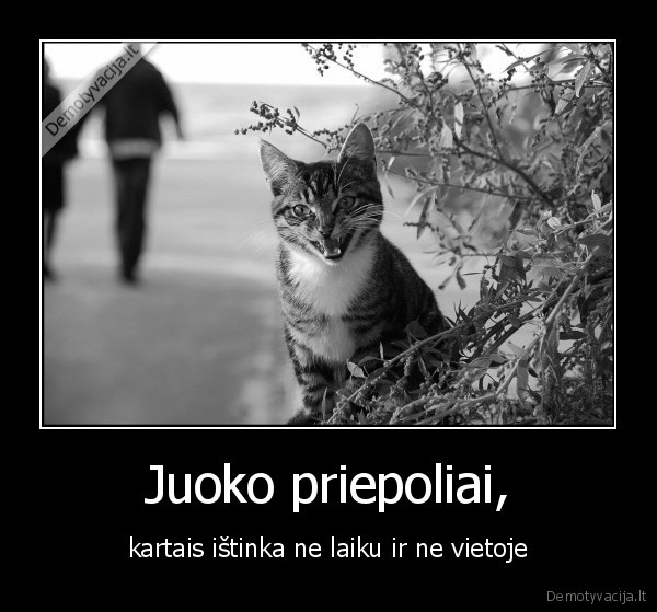 Juoko priepoliai,