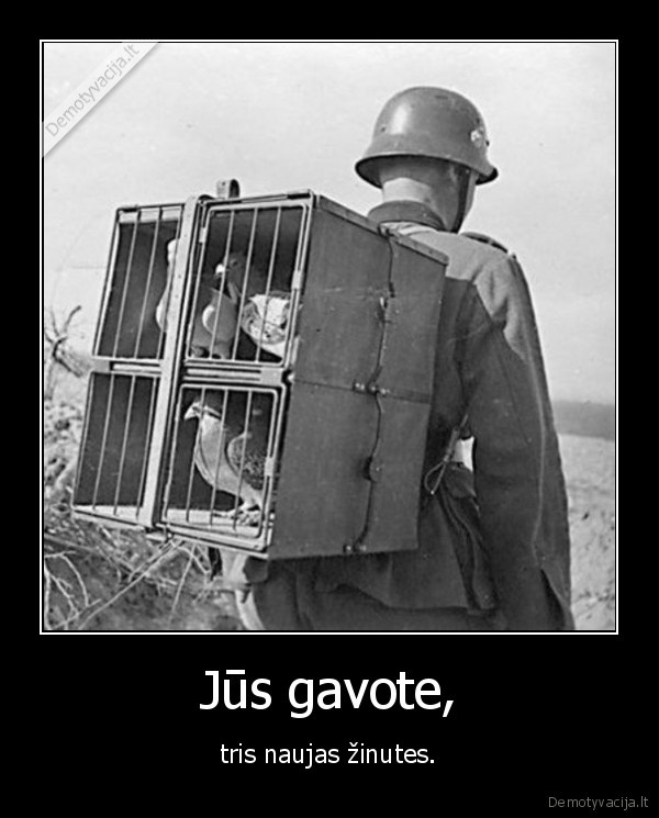 Jūs gavote,