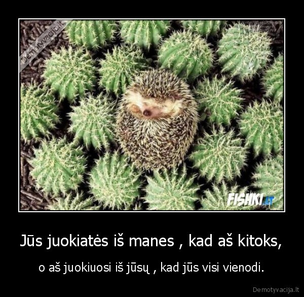 Jūs juokiatės iš manes , kad aš kitoks,