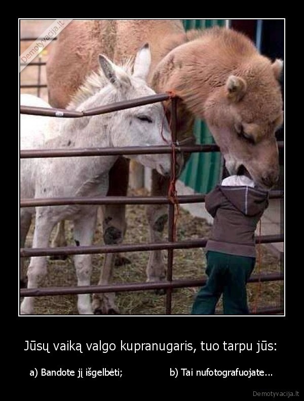 Jūsų vaiką valgo kupranugaris, tuo tarpu jūs: