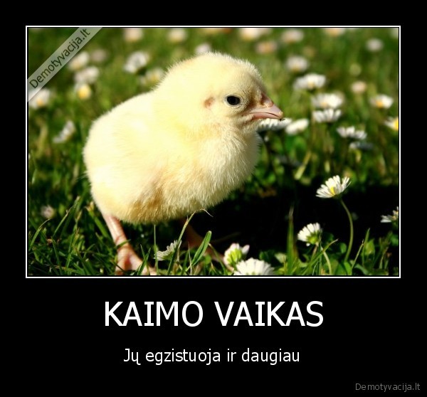 KAIMO VAIKAS