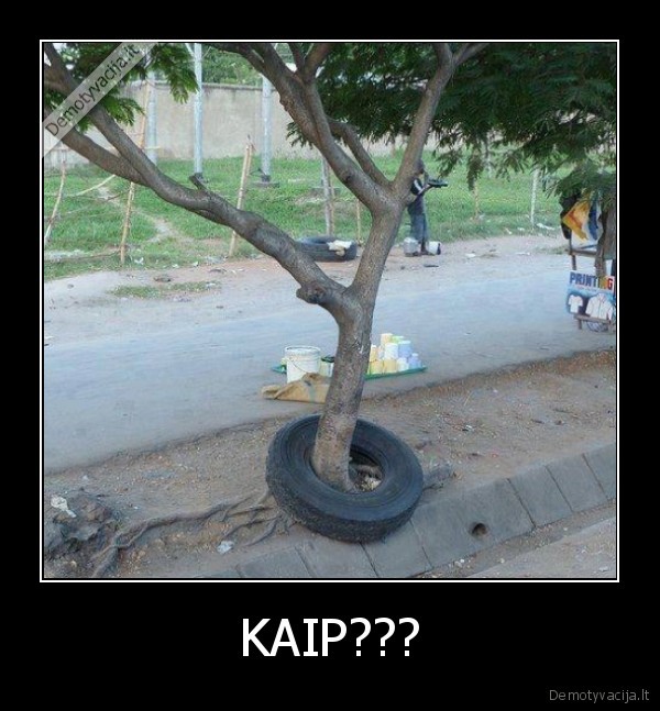 KAIP???