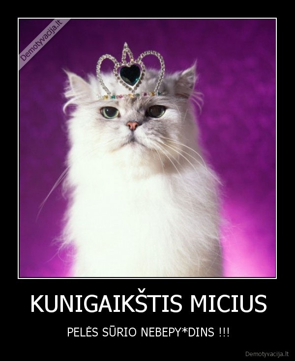 KUNIGAIKŠTIS MICIUS