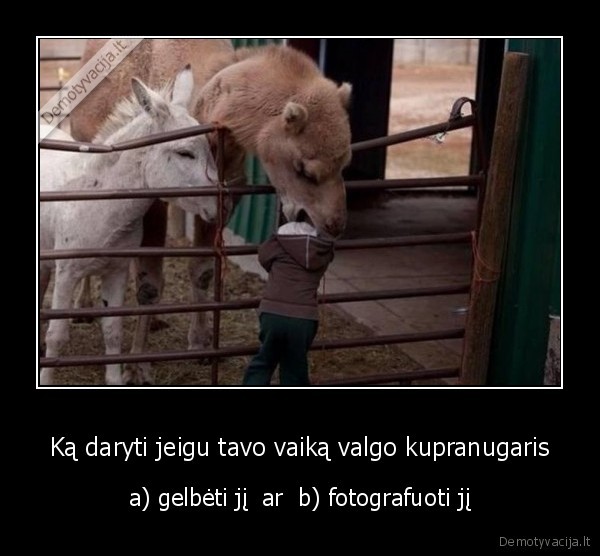 Ką daryti jeigu tavo vaiką valgo kupranugaris