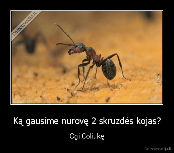 coliuke, maza, kaip, skruzde