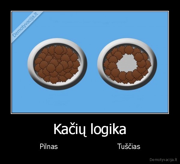 Kačių logika