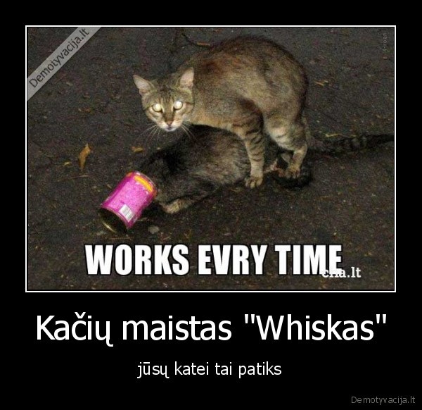 Kačių maistas &quot;Whiskas&quot;