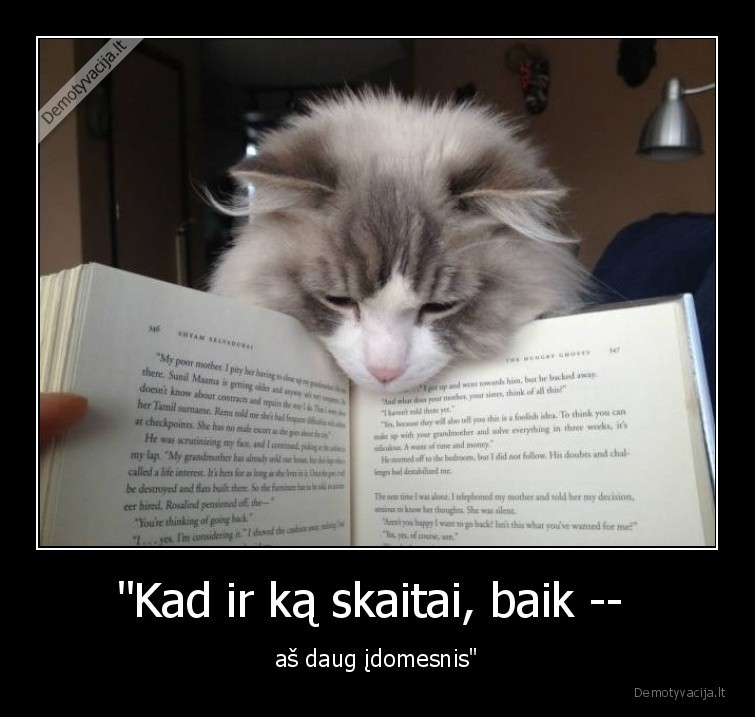 kate,katinas,knyga