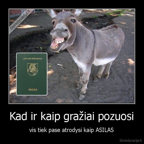 kad, ir, kaip, graziai, pozuosi, vistiek, pase, atrodysi, kaip, asilas