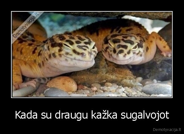 Kada su draugu kažka sugalvojot