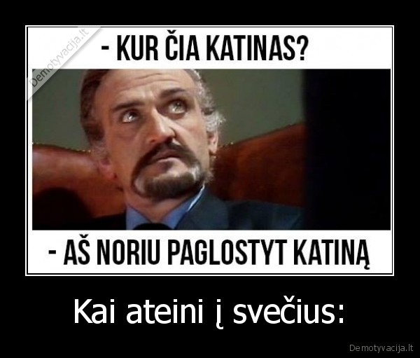 svecias,katinas