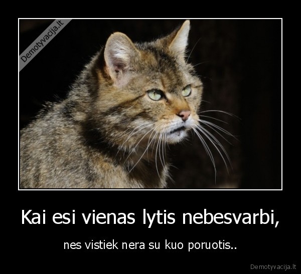 Kai esi vienas lytis nebesvarbi,