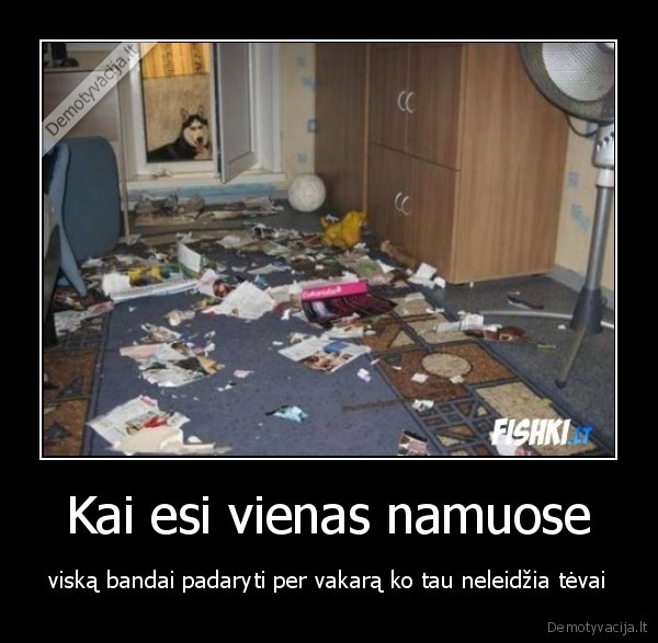 Kai esi vienas namuose