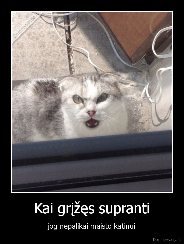 Kai grįžęs supranti