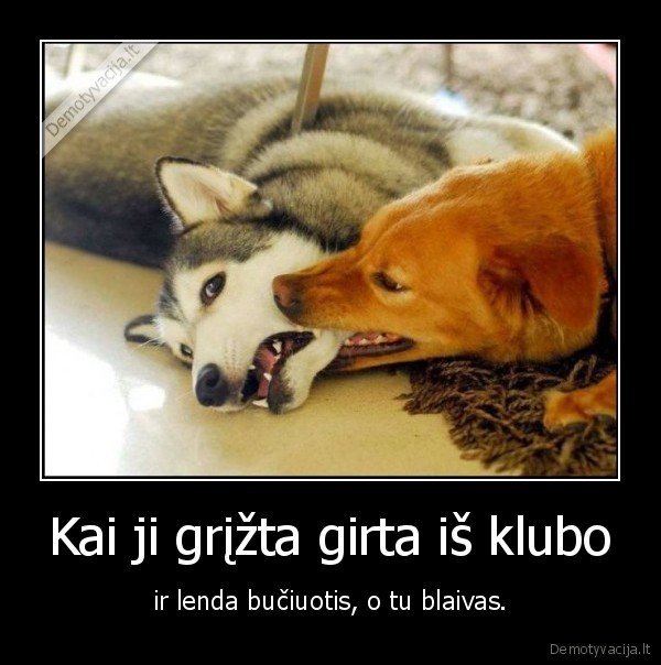 klubas,suo,bucinys,girtumas