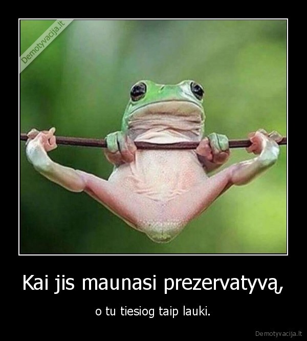 prezervatyvas,posla, varle,seksas