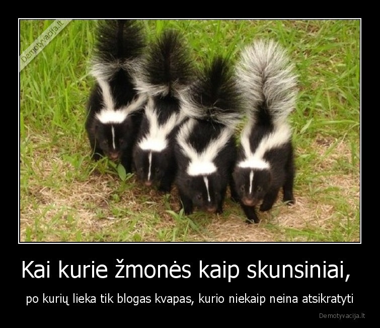 skunsiniai,skunsai,zmones,blogas,kvapas