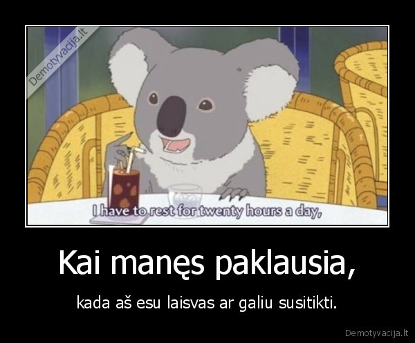 laisvumas,miegas,koala