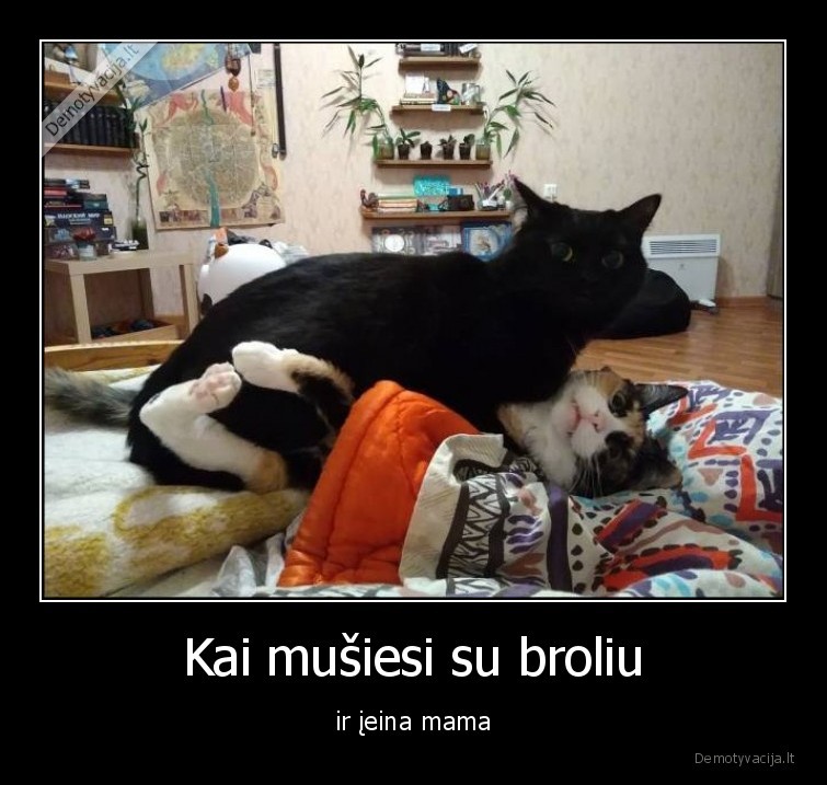 mama,iejo,broliai,musasi