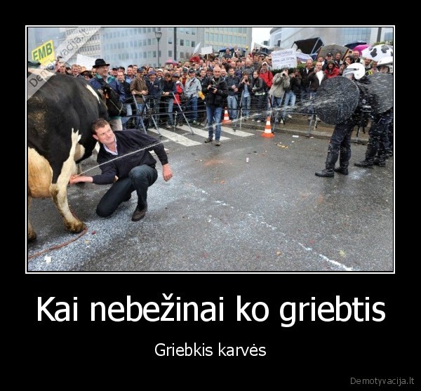 Kai nebežinai ko griebtis