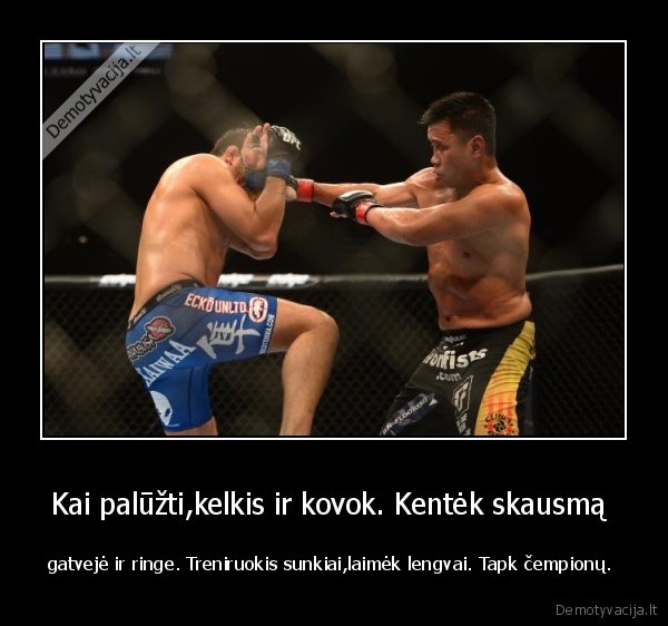 ufc,sportas,motyvacija., kas, beko, gruzinas