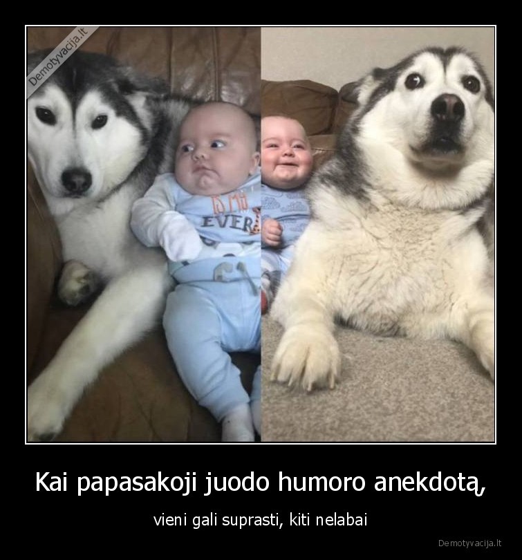 juodas,humoras,vaikas,suo