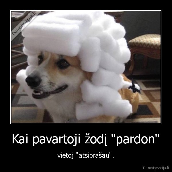 suo,pardon,atsiprasau