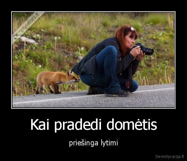 Kai pradedi domėtis