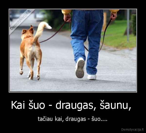 Kai šuo - draugas, šaunu, 