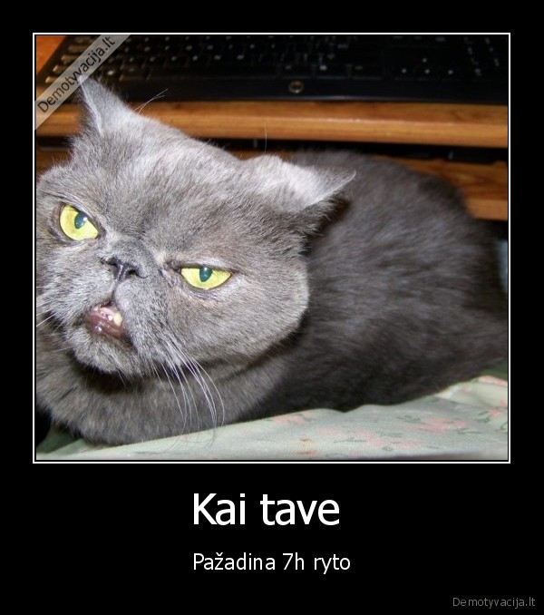 Kai tave 