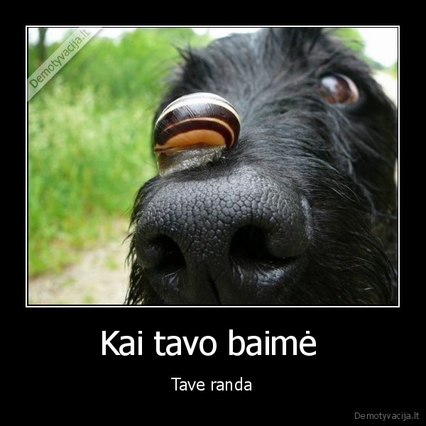 Kai tavo baimė 