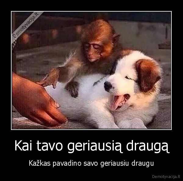 draugyste,geriausi, draugai,pavyda