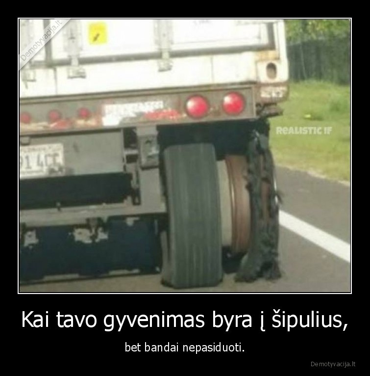 gyvenimas,padanga,sipuliai