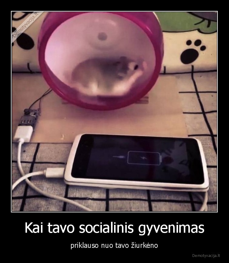 socialinis,ziurkenas,krauti,telefonas