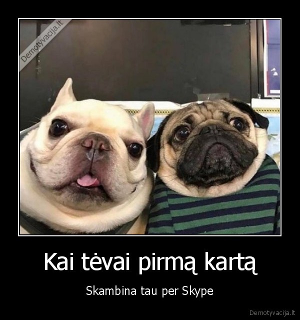 skype, skambutis