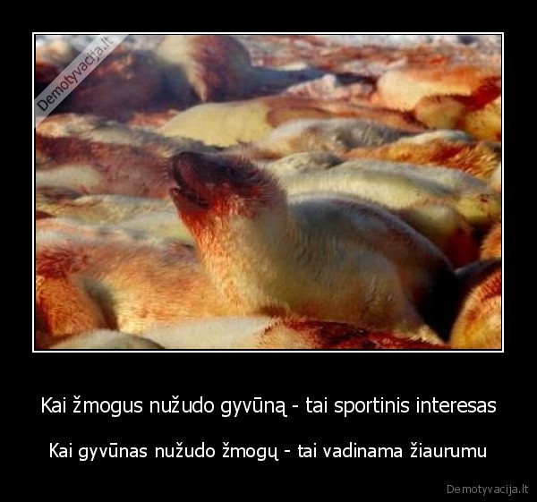 Kai žmogus nužudo gyvūną - tai sportinis interesas