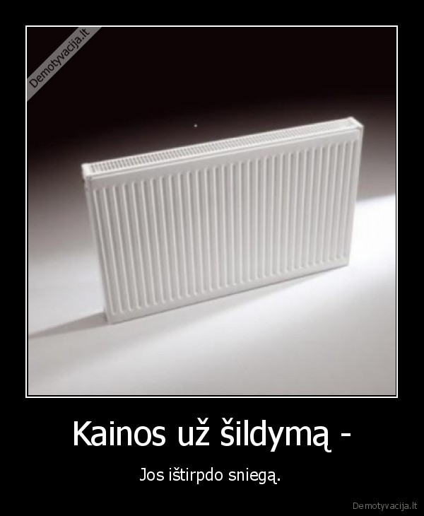 dideles_kainos_nera_sniego