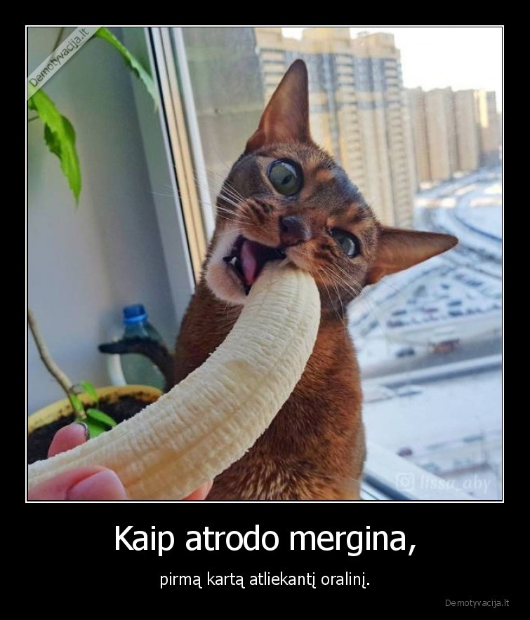 kate,katinas,mergina,oralinis,bananas