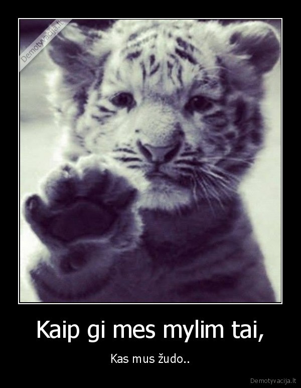 Kaip gi mes mylim tai,