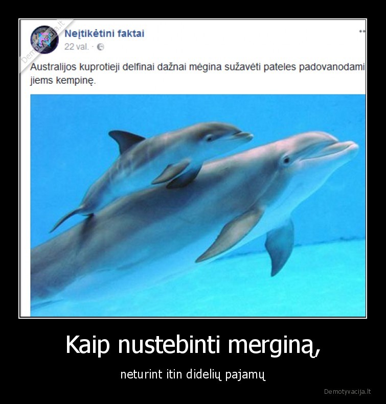 mergina,panele,kepine,pinigai