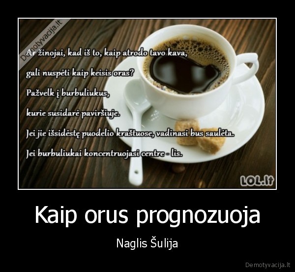 naglis, sulija,oru, prognozes,kava