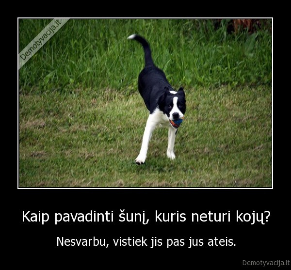 Kaip pavadinti šunį, kuris neturi kojų?