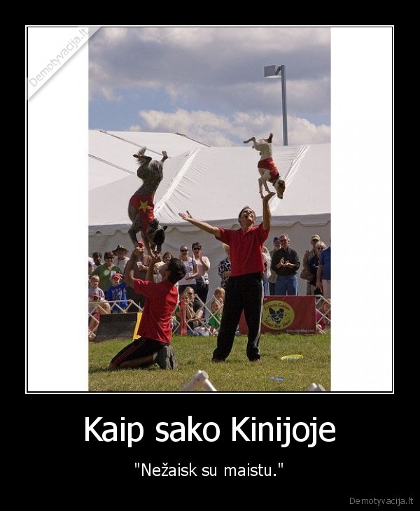 Kaip sako Kinijoje