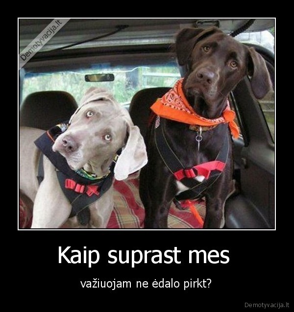 Kaip suprast mes 