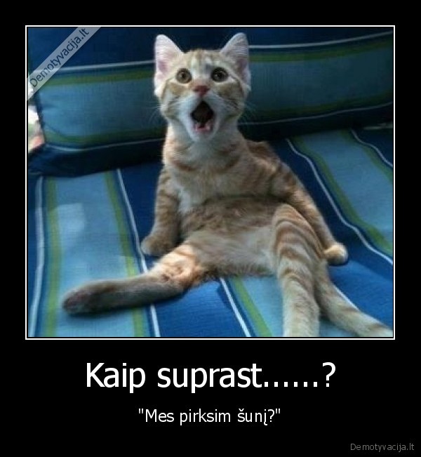 Kaip suprast......?